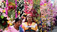 La fiesta de las ¨Flores y las Palmas¨ es celebrada cada año, el primer fin de semana del mes de mayo, coincidiendo con la llegada del invierno. El festejo es una mezcla de celebración cristiana católica y costumbres precolombinas, en el municipio de Panchimalco, al sur de San Salvador. Fotos D1: Frederick Meza