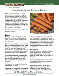 This learning guide in our growing library provides everything you need to know about carrot's common pests and diseases.