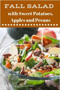 This Autumn Salad with Roasted Sweet Potatoes and Apple Cider Vinaigrette is made mostly of store bought items and comes together quickly with a great flavor! #autumnsalad #thanksgiving #holidaysidedish #holidaysalad #fallsalad via @laughingspatula