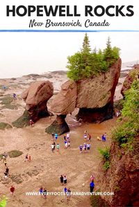 Twice a day one hundred billion tonnes of water flows in and out of the Bay of Fundy, creating the highest tides in the world. Let these photos convince you to visit Hopewell Rocks, a gorgeous destination along the Bay of Fundy in New Brunswick, Canada!