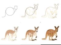 how-to-draw-a-kangaroo-with-a-baby