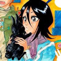 #rukiakuchiki #rukia #bleach