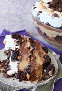 Chocolate-Hazelnut Mousse Trifle | SugarHero.com