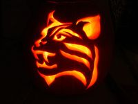 My Wildcat Pumpkin by mabryant2206, via Flickr