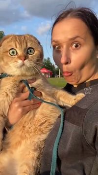 Videos of cute and funny pets that will make your day much better, cats and dogs or pets in general is too adorable #pet #cat #dog #funny #meme #cute