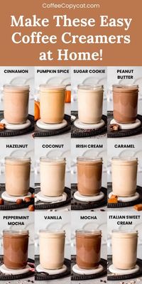 Add a burst of flavor to your cold brew with these easy homemade coffee creamer recipes, featuring 13 luxurious flavors! From classic vanilla and caramel to indulgent Irish cream, and pumpkin spice! These coffee creamers are so easy to make with just a few simple ingredients and 5 minutes of time. Perfect for any coffee lover looking to try something new! Why not try all 13 flavors! #coffeecreamer