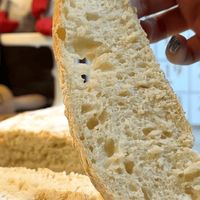 The Quickest Ciabatta Bread Rolls Recipe That Works… - Minoo Makes Stuff