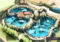 New Pinniped Pavilion Zoo - ZooQuariumDesign