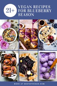 Make the most of blueberry season by trying one (or more!) of the delicious vegan blueberry recipes on our list. We've got everything from breakfast treats to baked goods to ice cream! Get the full list here. #bestofvegan#blueberry#blueberryseason#veganblueberryrecipe#veganblueberrycheesecake#blueberrypancakes#blueberrysmoothie#blueberryicecream#blueberrybuns#blueberrytart#blueberrygalette via @bestofvegan