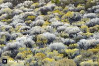 Find this textured nature shot and others like it at Adobe Stock. #templates #productlayout #weblayout #presentationdesign #design #sociallayout #instagraminspiration #trending #inspiration #adobeindesign #adobeillustrator #adobespark #adobephotoshop #adobestock #landscape #texture #outdoors #nature