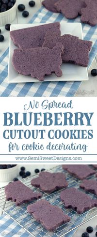 Blueberry Cutout Cookie Recipe