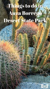 A list of things to do in the Anza-Borrego Desert State Park including hikes, sunset spots, wildlife and more.