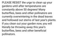 Wait until temperatures stay above 50 degrees before cleaning up leaves and brush.