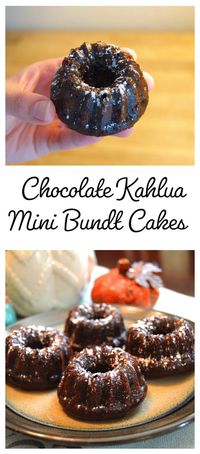 Chocolate Kahlua Mini Bundt Cake Recipe | In a Nutshell... or Two