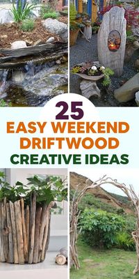 🌿💡 Add a touch of coastal charm to your garden with these easy weekend driftwood garden projects that will ignite your creativity! Transform a large piece of driftwood into a unique and rustic garden bench by adding sturdy wooden legs and a weather-resistant cushion. Create a driftwood planter by hollowing out a large piece of driftwood and planting succulents or small flowers inside. Build a driftwood fence by attaching driftwood pieces to wooden posts, creating a natural and eco-friendly boundary for your garden. These DIY driftwood garden projects not only infuse your outdoor space with coastal vibes but also showcase your craftsmanship. Get ready to spend a creative weekend and enjoy the beauty of driftwood in your garden! #DriftwoodGardenProjects #WeekendCreativity