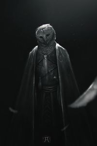 ArtStation - Owl Knight, Igor Krstic