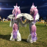 Unicorn costumes