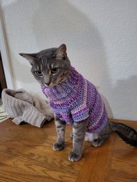 Easy pet sweater is for our lovely pets. It is top-down. This pattern is based on my cat(size M cat) If you know how you can measure your pet you can make it!! Pattern includes a Pattern gauge note that help you with your pets gauge.