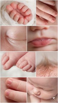 The Tiny Details are a must Shot with Canon 100mm f2.8 Macro lens Malia B Photography , Phoenix Arizona Newborn Photographer www.maliabphotography.com #phoenixarizonanewbornphotographer #phoenixarizonababyphotographer #peoriaarizonanewbornphotographer #peoriaarizonababyphotographer