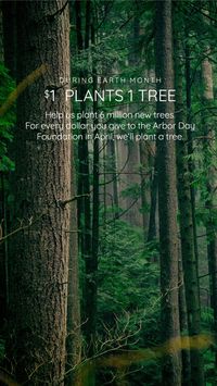 When you buy a piece of indoor wood furniture, we'll plant a tree in partnership with The Arbor Day Foundation!