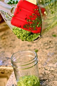 homemade pesto recipe with step by step instructions and pictures to DIY Pesto