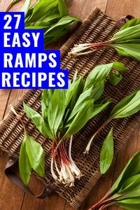 Whether you are foraging or buying them from the farmers markets. Also known as wild leeks, ramson, alliums and wild garlic, here are 27 easy ramp recipes to make this spring. One of the tastiest wild foods, ramps are foraged food that have an onion or garlic flavour that is delicious.  #wildfood #foraging #springrecipes #vegetarian #vegan