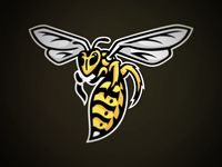 Fairview Yellow Jackets by Micah Sledge