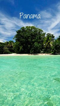 Découvrez notre carnet de voyages, expériences lointaines au Panama. Au programme, forêt tropicale, rencontre avec les indigènes, voiliers et autres expériences inoubliables. Valle d'Anton, mer des Caraïbes, océan pacifique, Pedasi, Chiriqui...