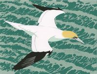 Gannet - Robert Gillmor linocut