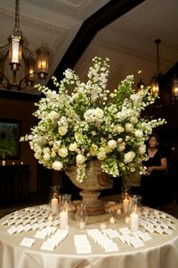 A classic garden arrangement in an urn