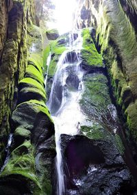 Adršpach-Teplice Rocks - Czech Republic