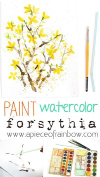 Paint Watercolor Flowers - Forsythia | A Piece Of Rainbow