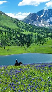 Anzor Gasaev🇰🇿 on Instagram: "Altai - East Kazakhstan🇰🇿😍"