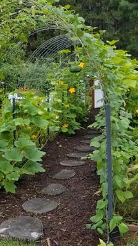 Embark on a magical journey of garden alchemy with this captivating book. 💚Learn how to transform your garden into a thriving space of beauty and abundance, where every seed planted becomes a step towards a more sustainable and fulfilling life.