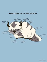 "Anatomy of a Sky Bison" T-shirt by sarahhere | Redbubble