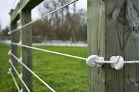 ElectroBraid™ Electric Horse Fencing Q&A  #ramm #electricfencing #horsefence #horsefencing #equine #farm #horse #horses #fence #fencing #electrobraid #copper #copperfencing