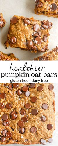 These healthy pumpkin oat bars are the perfect recipe to make for a simple breakfast or easy snack! Made with whole wheat flour and chocolate chips or raisins for extra sweetness. #pumpkinbar #oatbars #pumpkinrecipes #wholewheat #pumpkin