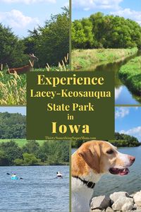 Experience Lacey-Keosauqua State Park in Iowa - ThirtySomethingSuperMom