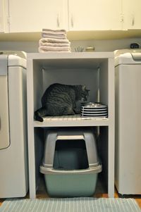 If you have a small home AND cats, then you probably keep the cat food and litter box in your laundry room. That can take up a lot of valuable space, SO stack up that food and litter box on a shelf. Found on Southern Sprout.