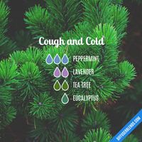 Cough and Cold - Essential Oil Diffuser Blend