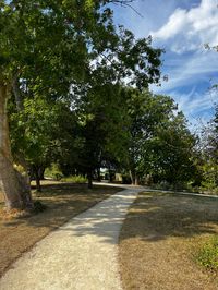 #aesthetic #jardin #dairyfree #green #tree #zen #life #outside #backyard #relaxing