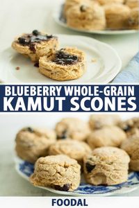 These Blueberry Whole-Grain Kamut Scones are light and flaky, tall and biscuit-like, dimpled with blueberries that hold their form through the mixing and baking that occurs. And they're especially nice topped with honey or a jam. Get the recipe now on Foodal. #blueberry #scones #kamut #foodal