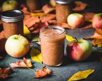 When it's fall and you have an apple tree, you may be wondering how to preserve apples for the rest of the year. Canning and freezing are popular, but there are so many ways you can preserve apples including apple butter, jam, cider and so much more! Learn about 12 methods for preserving apples!