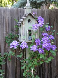 Bird House with Clematis