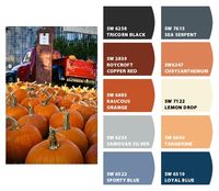 ColorSnap by Sherwin-Williams – ColorSnap by Barbara H.