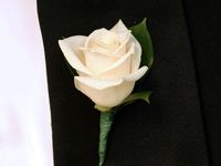 Groom's boutonniere