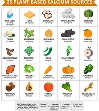 25 Plant-Based Calcium Sources