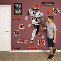 Officially Licensed NFL Removable Adhesive Decal