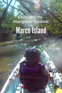 Looking for things to do in Marco Island or Naples FL? Try Kayaking the Mangroves with Paddle Marco in Florida.