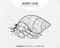 Hermit Crab Vector Clipart. Sea Creature Digital Line Drawing Hermit Crab Sea creatures art, Crab art, Hermit crab Hermit Crab Coloring Pages Crab art, Animal coloring pages The post Hermit Crab Line Drawing first appeared on Husin Blog.